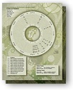 Astrological chart for team sporting events