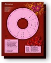 Astrological chart for a special moment