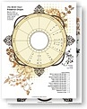 An introduction to a birht chart