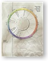 DesignerWheels Paper Euro 2