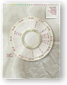 DesignerWheels Paper Standard