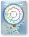 DesignerWheels Synastry 4