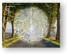 DesignerWheels Landscape 1