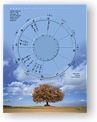 DesignerWheels Scenic 3