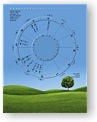 DesignerWheels Scenic 4
