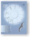 DesignerWheels Inspirational 12 Light