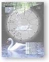 DesignerWheels Inspirational 14 Light